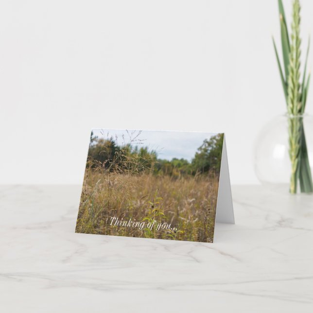 Overgrown Prairie Thinking Of You Card (Front)