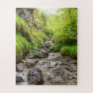 Overgrown Shallow Creek Waterfall Jigsaw Puzzle