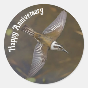 overhead view white throated sparrow flying classic round sticker