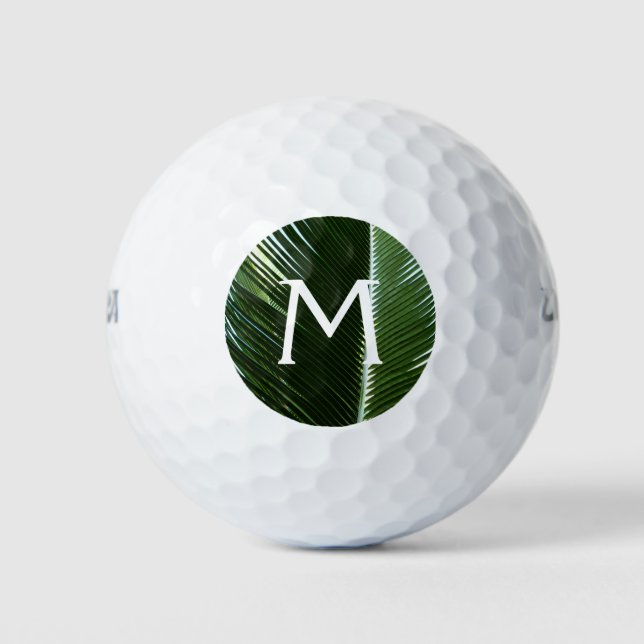 Overlapping Palm Fronds Tropical Green Abstract Golf Balls (Front)