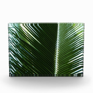 Overlapping Palm Fronds Tropical Green Abstract Photo Block