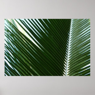 Overlapping Palm Fronds Tropical Green Abstract Poster