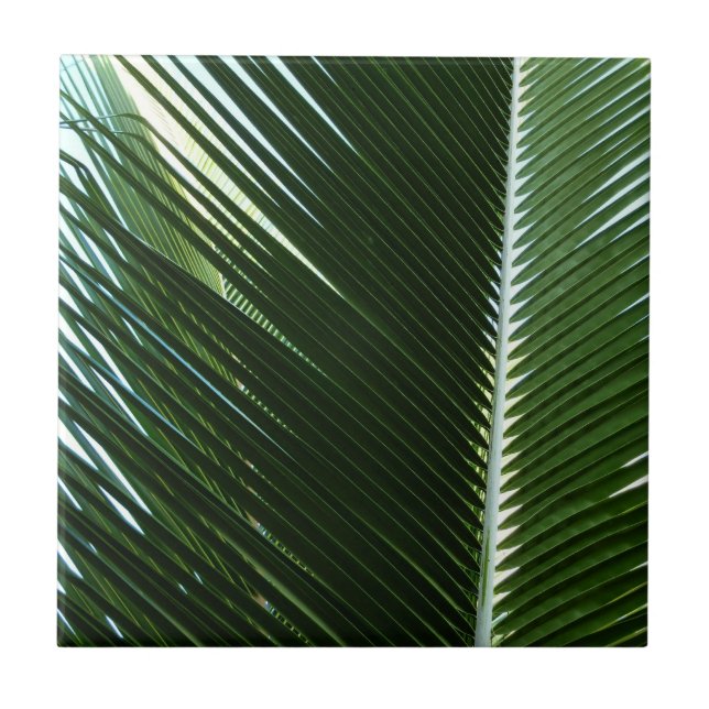 Overlapping Palm Fronds Tropical Green Abstract Tile (Front)