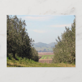 Overlooking San Juan Valley Postcard