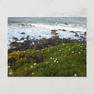 Overlooking the Sea Cliffs in Crescent City Postcard