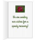 OVERSIZED CARD/GET WELL /FUCHSIA-COLORED PEONY