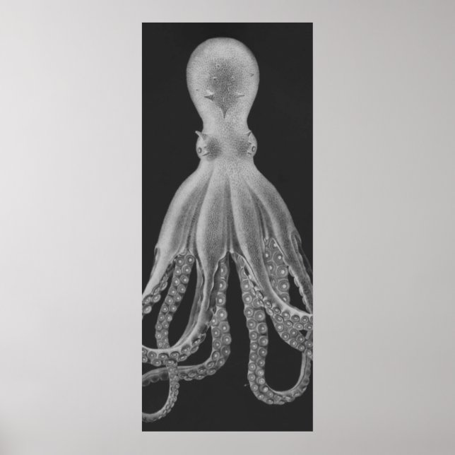 Oversized Octopus Triptych II Print in Grey (Front)