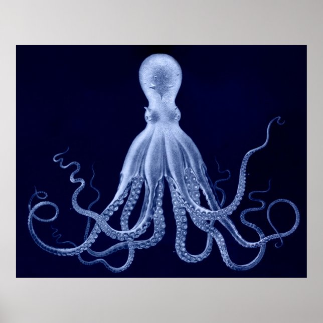 Oversized Octopus Triptych Print in Blue (Front)