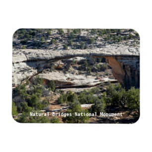 Owachambo bridge magnet