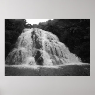 Owharoa Falls in Black and White Poster