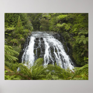 Owharoa Falls, Karangahake Gorge, near Paeroa, Poster