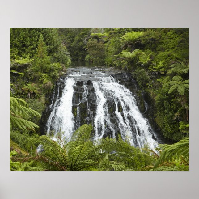 Owharoa Falls, Karangahake Gorge, near Paeroa, Poster (Front)