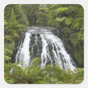 Owharoa Falls, Karangahake Gorge, near Paeroa, Square Sticker