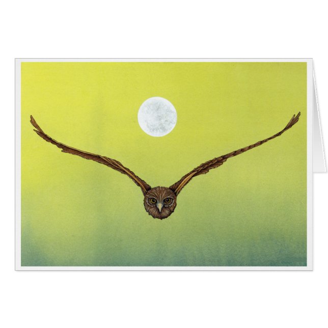 Owl (Front Horizontal)