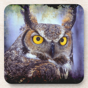 Owl 1 Coaster