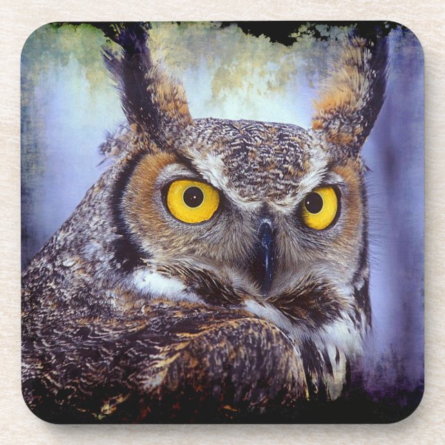 Owl 1 Coaster (Front)