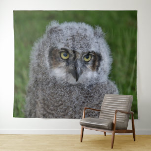 Owl_20180215_by_JAMFoto Tapestry