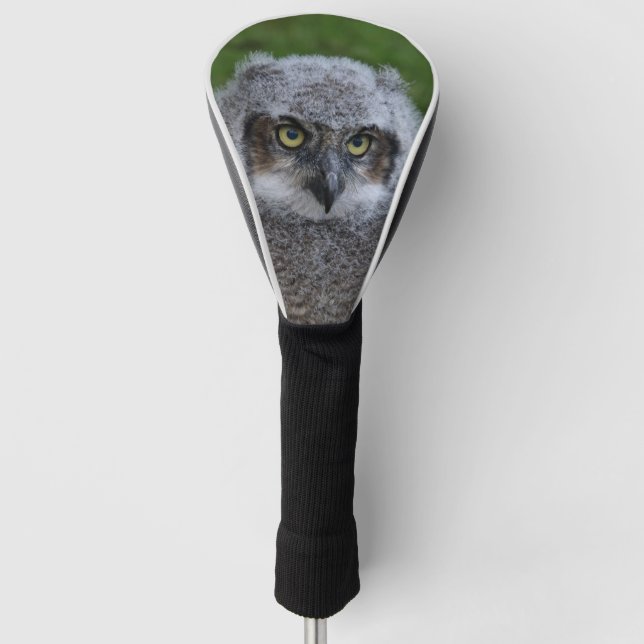 Owl_2019001 Golf Head Cover (Front)