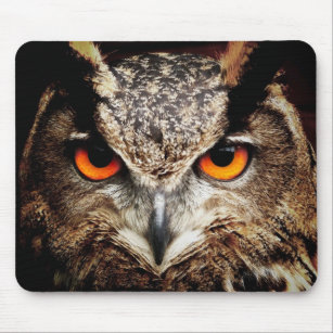 Owl 3 Mousepads