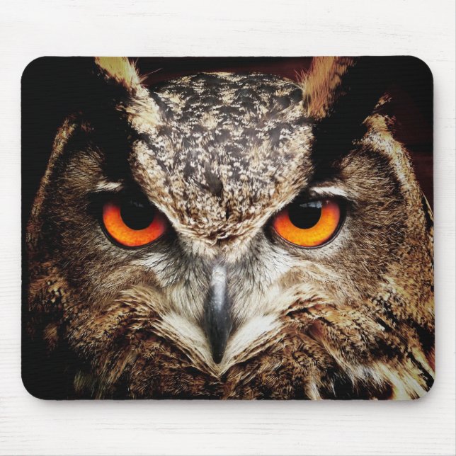 Owl 3 Mousepads (Front)