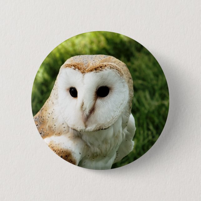 OWL 6 CM ROUND BADGE (Front)