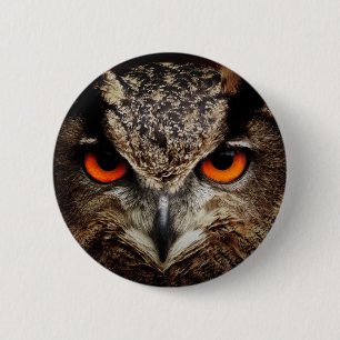 Owl 6 Cm Round Badge