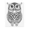 owl adult colouring postcard gift