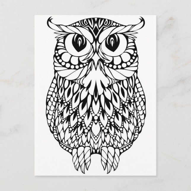 owl adult colouring postcard gift (Front)