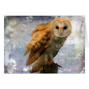 Owl All Occassion Blank Inside Greeting Card