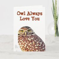 Owl Always Love You All Occasion Greeting Card