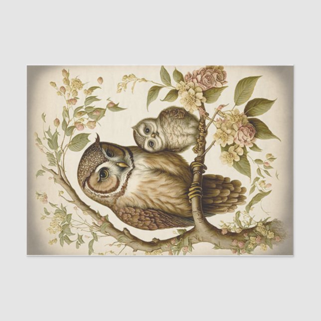 Owl and Baby Tissue Paper (Front)