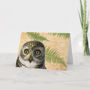 Owl and Ferns All Occasions Card