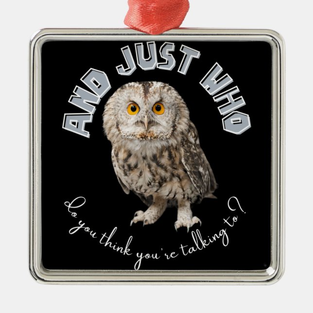 Owl: And Just Who Do You Think You're Talking To? Metal Ornament (Front)