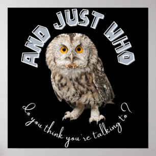 Owl: And Just Who Do You Think You're Talking To? Poster