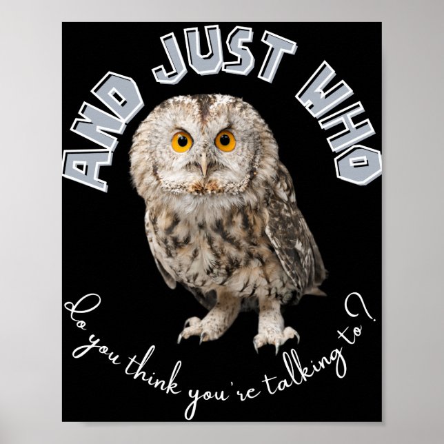 Owl: And Just Who Do You Think You're Talking To? Poster (Front)