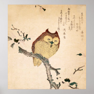 Owl and magnolia – Kobushi ni mimizuku Poster