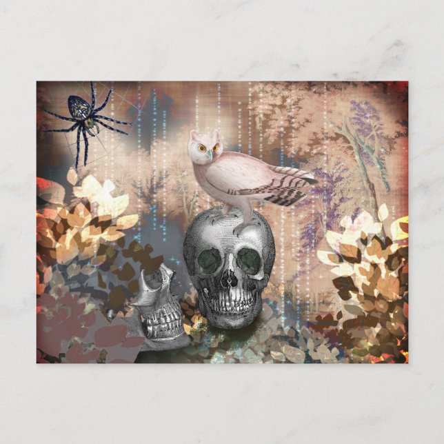 Owl and Skulls Halloween Postcard (Front)