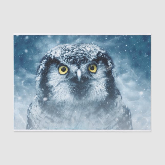 Owl and Winter Snow Night  Tissue Paper (Front)