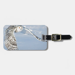 Owl Animal Bird Winter Snow Frozen Ice Cold Luggage Tag