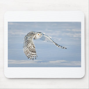 Owl Animal Bird Winter Snow Frozen Ice Cold Mouse Pad