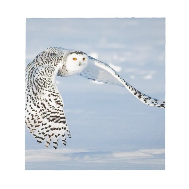Owl Animal Bird Winter Snow Frozen Ice Cold Notepad (Front)
