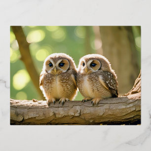 Owl Animal Nature Wildlife Affection Caring Foil Holiday Postcard