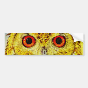 Owl Art Bumper Sticker