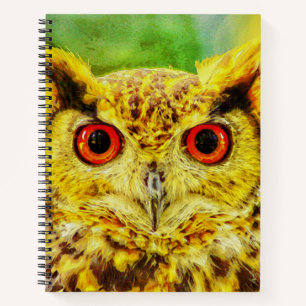Owl Art Notebook