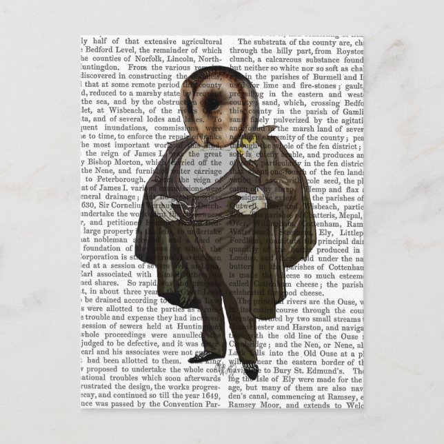 Owl At the Opera Postcard (Front)