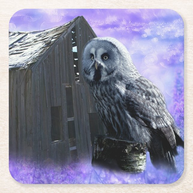 Owl Barn Shed Square Paper Coaster (Front)