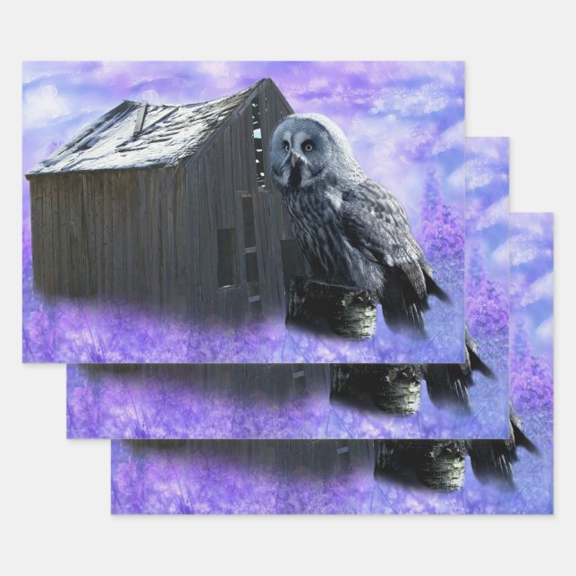 Owl Barn Shed Wrapping Paper Sheet (Set)