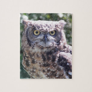 Owl be watching you! jigsaw puzzle
