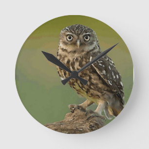 Owl Bird Eyes Tree Round Clock