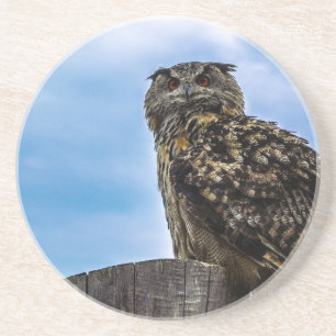 Owl Bird Feathers Animal Nature Destiny Peace Love Coaster